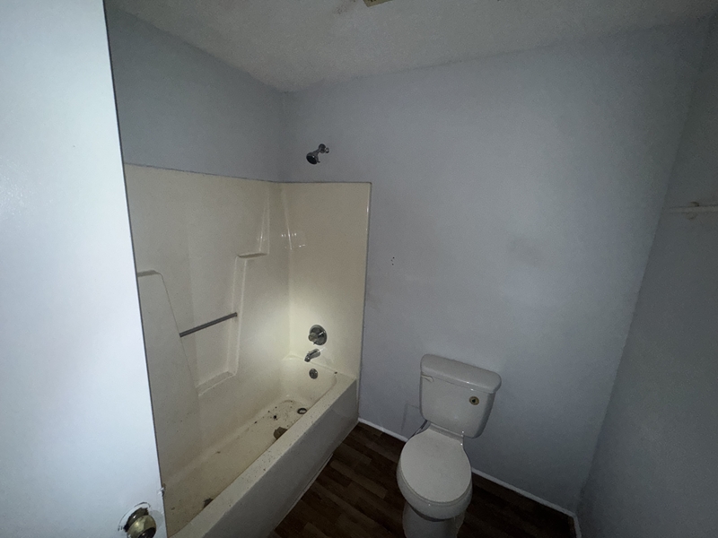 Photo 50